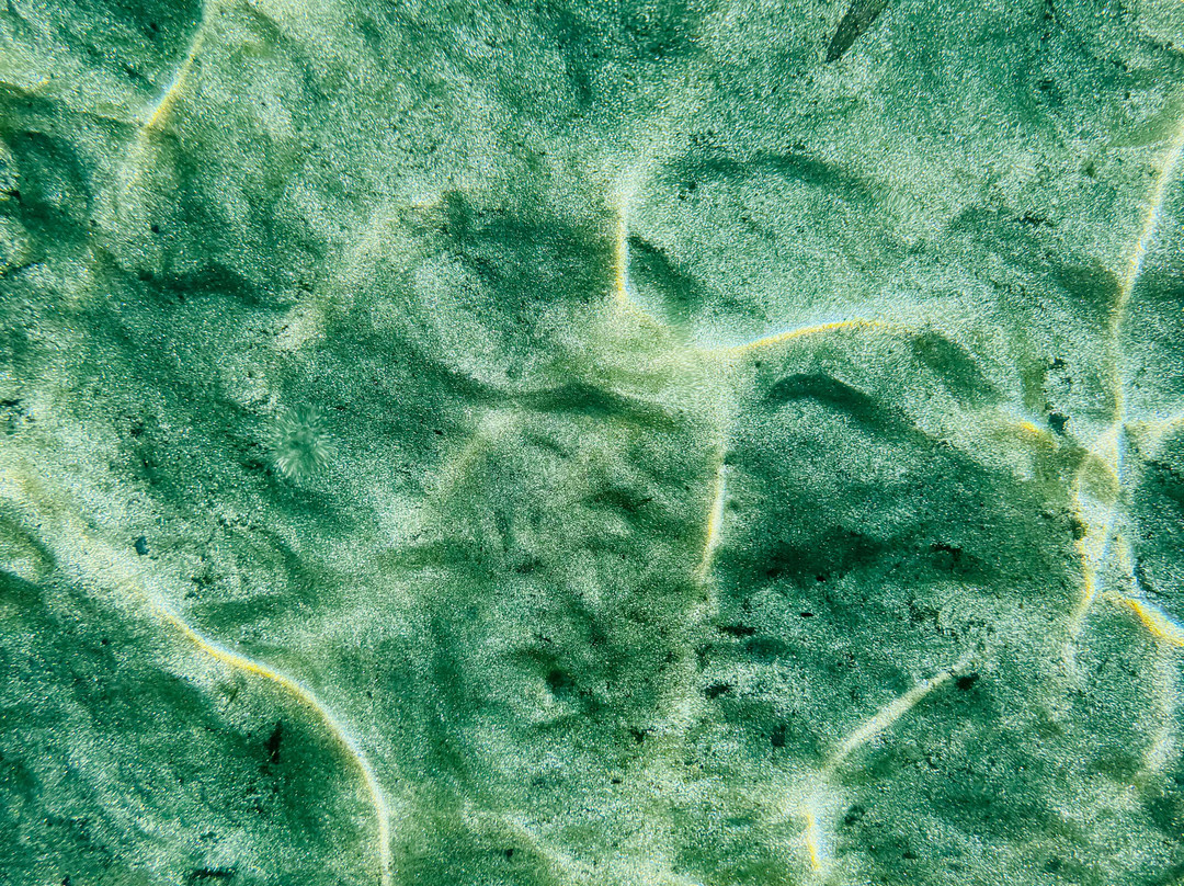 Plage de Pramousquier-莱拉旺杜必去景点