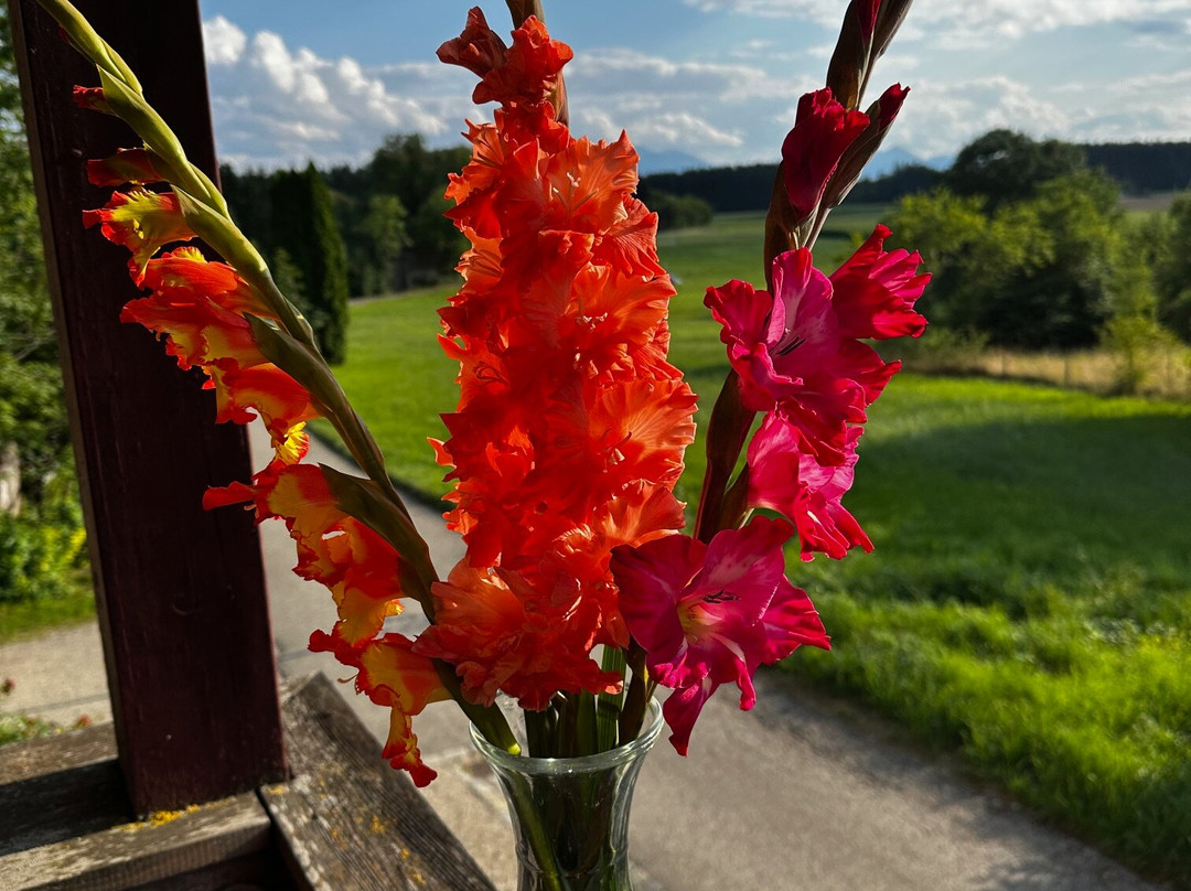 Seminarhotel Jonathan主图