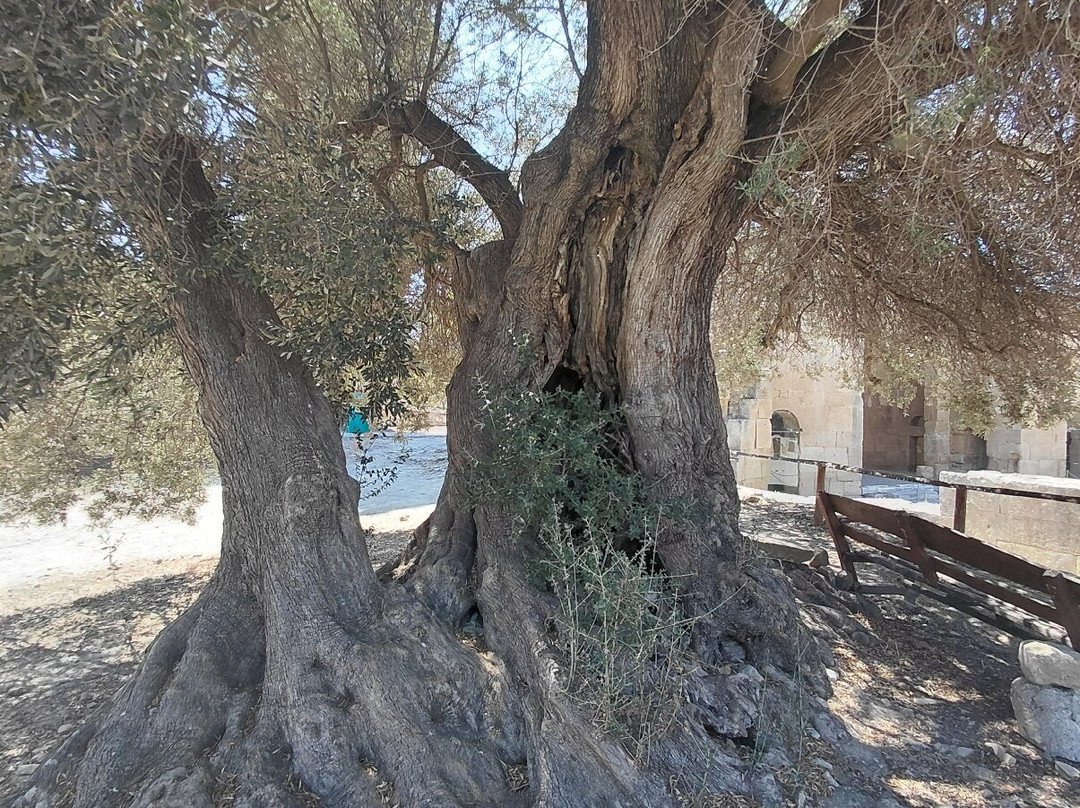 Gortyna-Agioi Deka必去景点