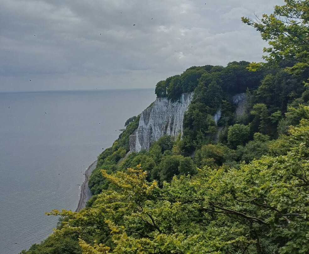 Kreidefelsen-萨斯尼茨必去景点