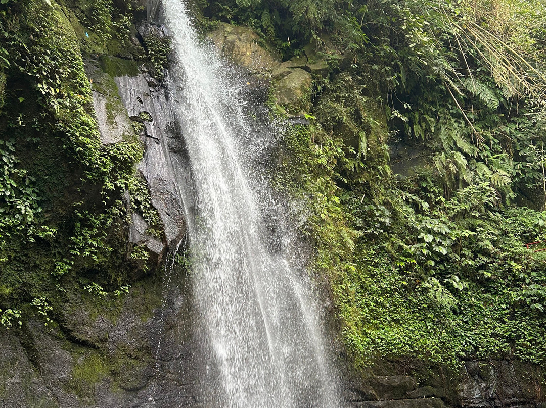 Bali Top Travels-登巴萨必去景点