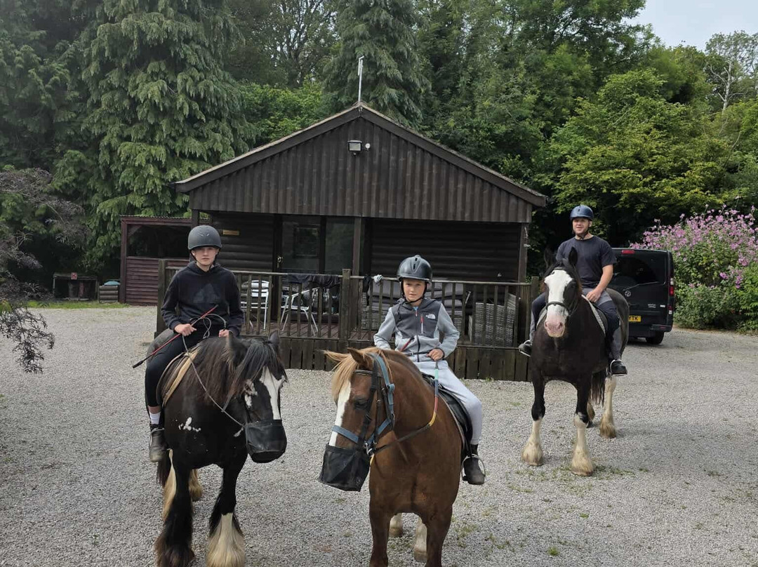 Penycoed Riding Stables-Pant必去景点