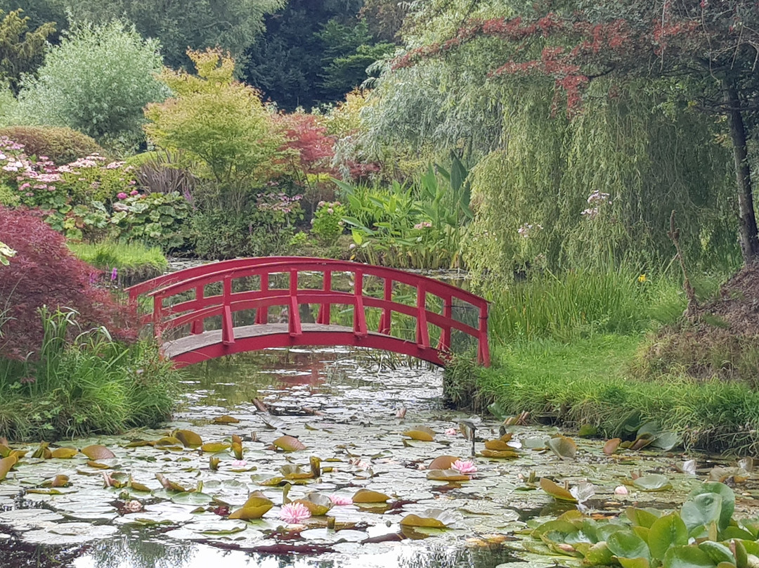Bennetts Water Gardens-Chickerell必去景点