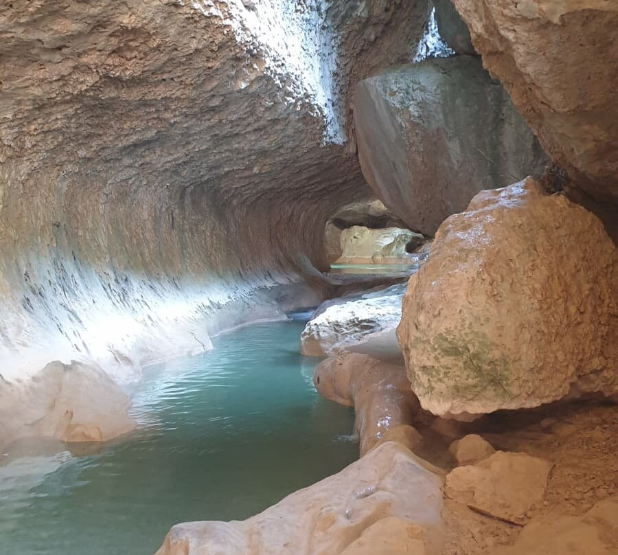 La fleur vagabonde-Bierge必去景点