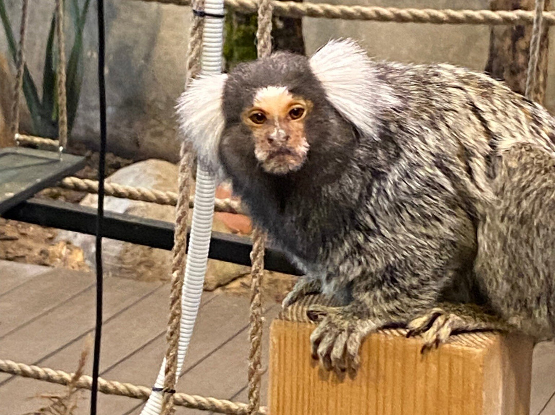 Zoopark Vilnius-维尔纽斯必去景点