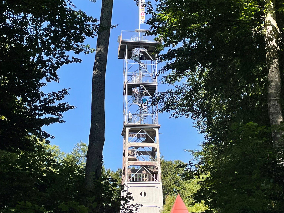 Bad Ramsach Quellhotel主图