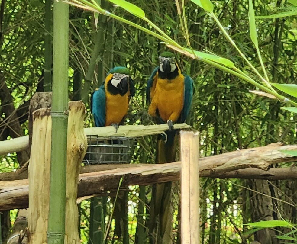 Le Parc des Perroquets-Bren必去景点