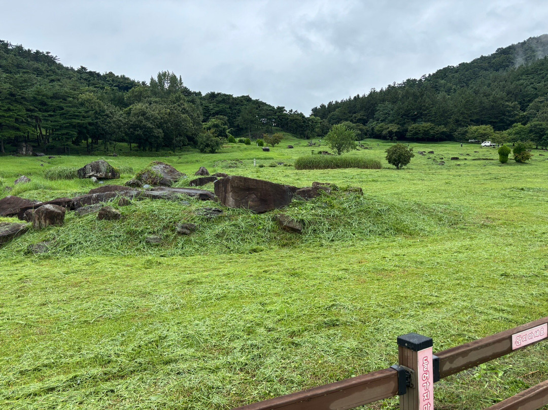 高敞、和顺、江华的史前遗址 -高敞郡必去景点
