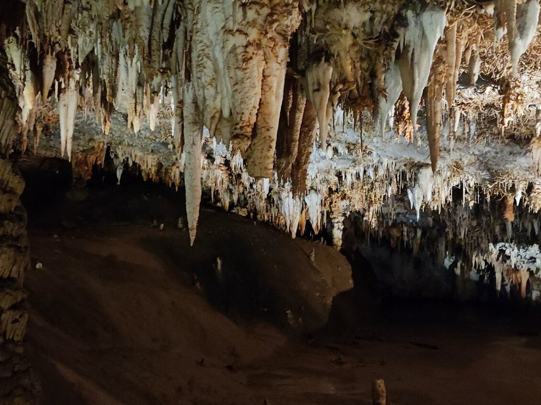 Cueva De Pozalagua-Valle de Carranza必去景点