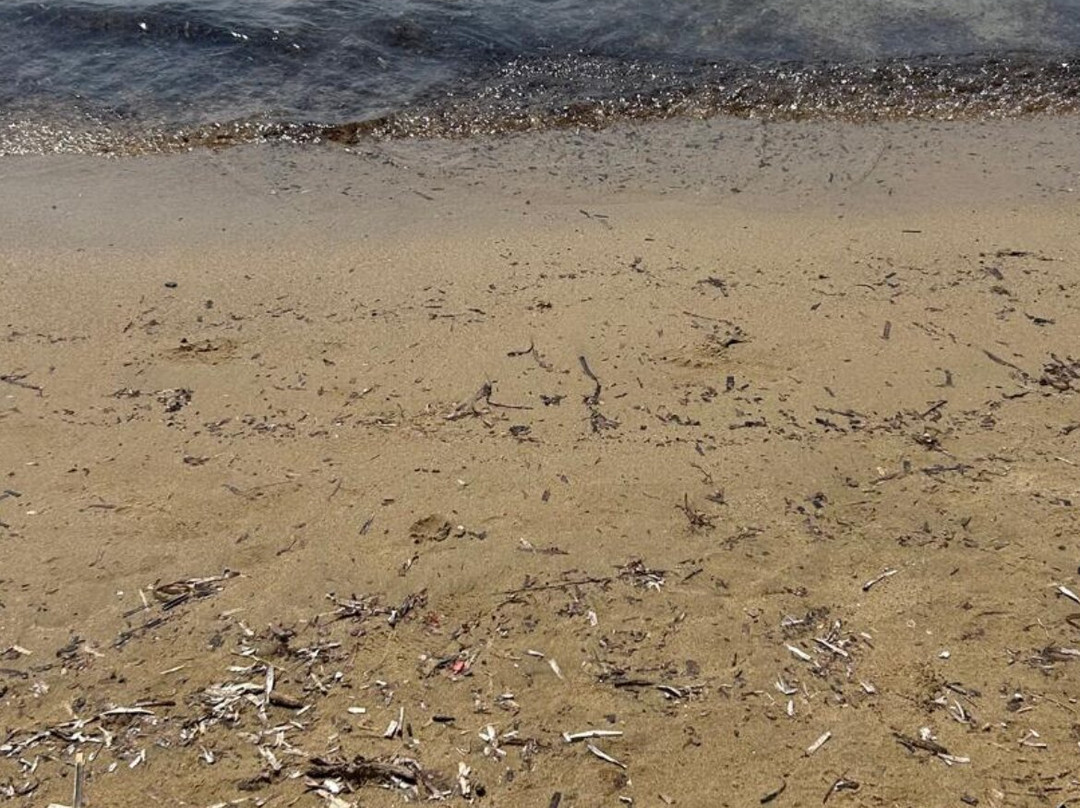 Lacona Beach-Lacona必去景点