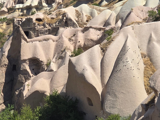 Tour Altinkum-库萨达斯必去景点