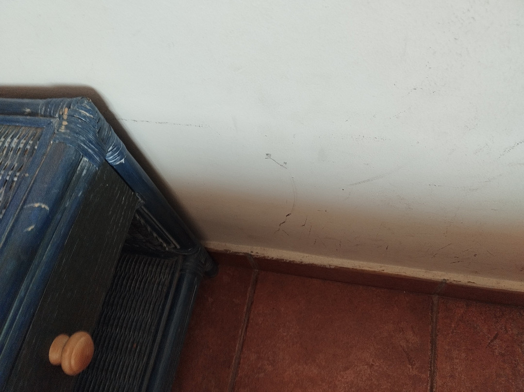 Hotel Comarruga Platja主图