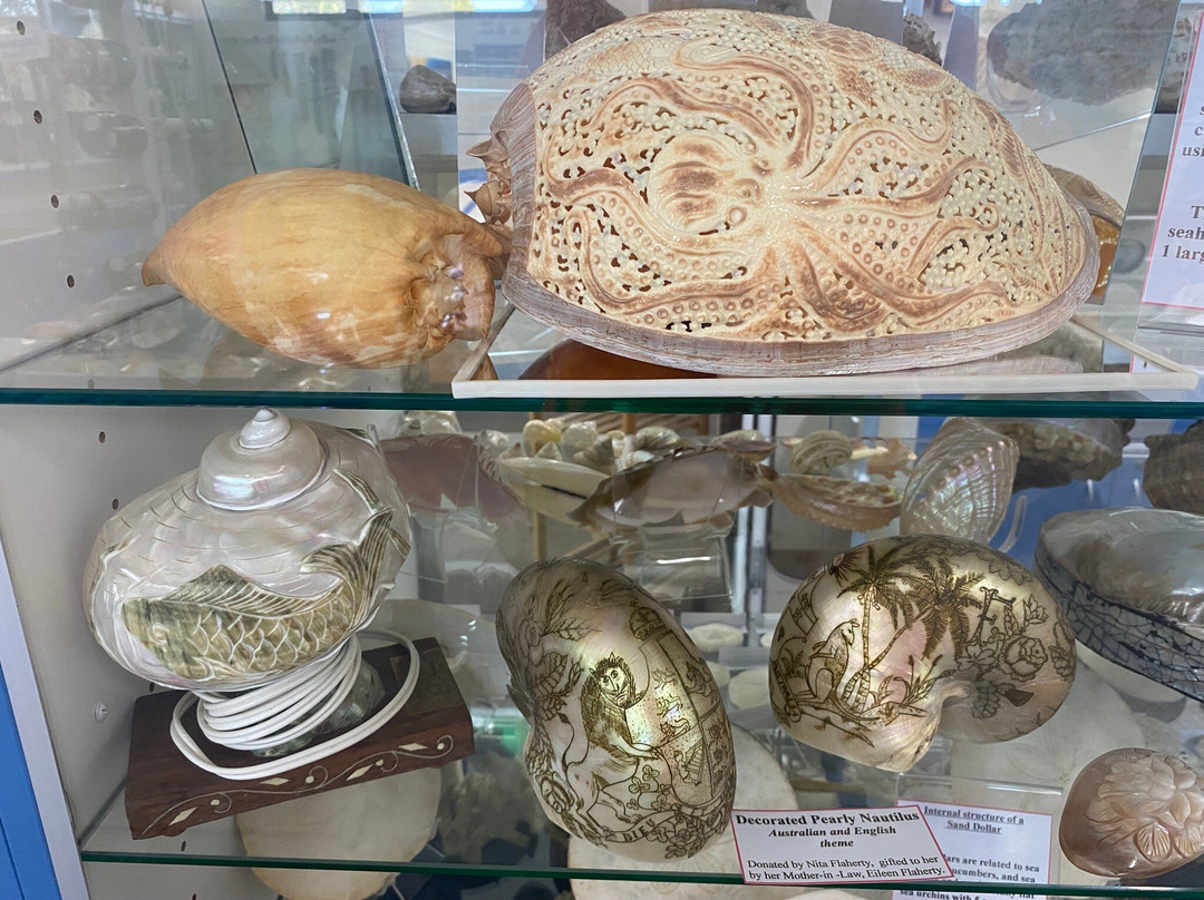 Shell World Yeppoon-Yeppoon必去景点