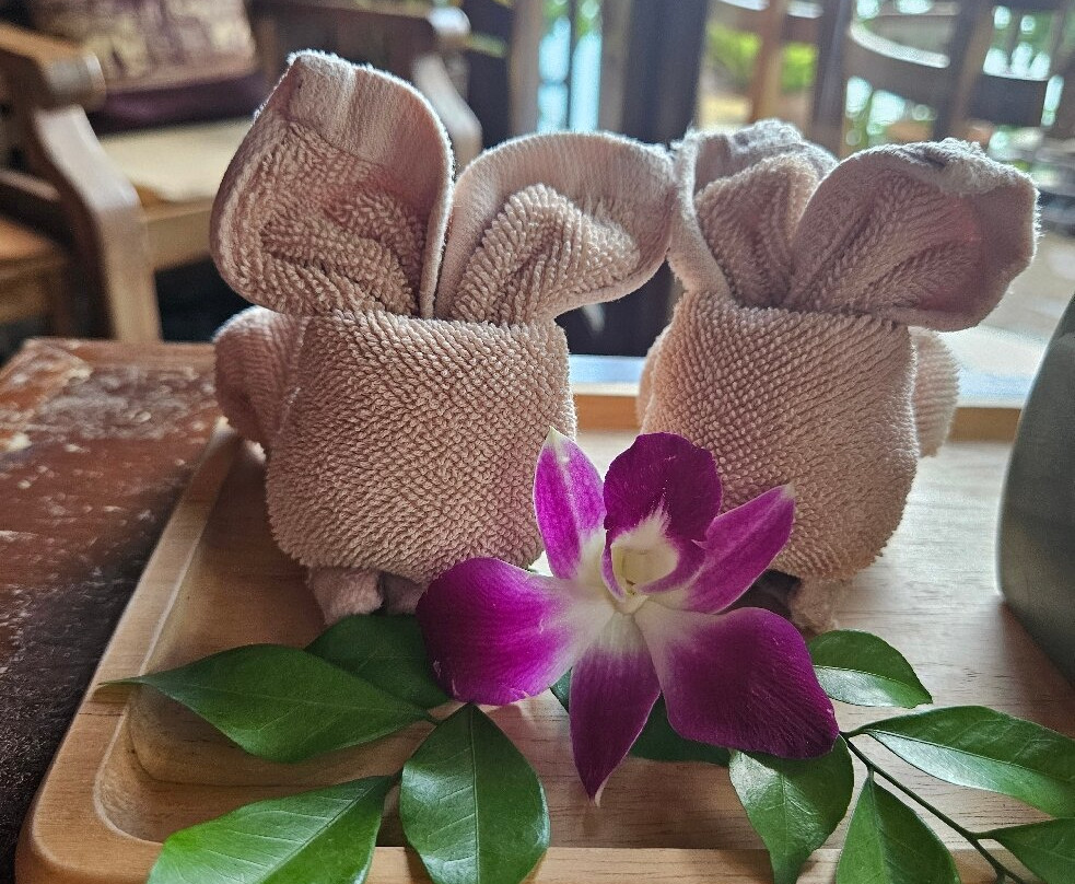 Ayurvana Spa-帕岸岛必去景点