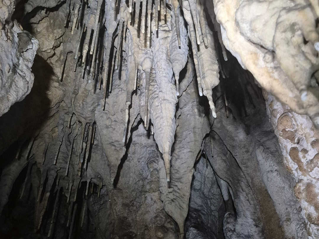 Modrič Cave-Rovanjska必去景点