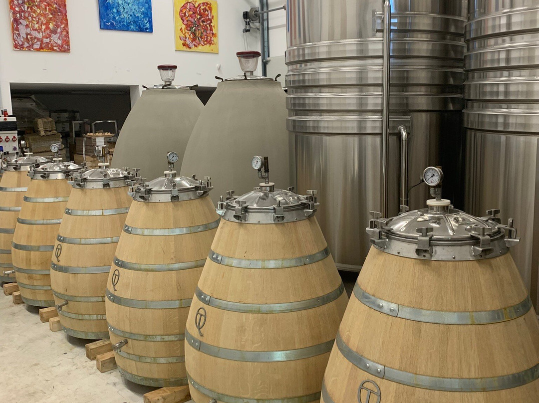 Le Clos De Sainte Maxime-圣马克西姆必去景点