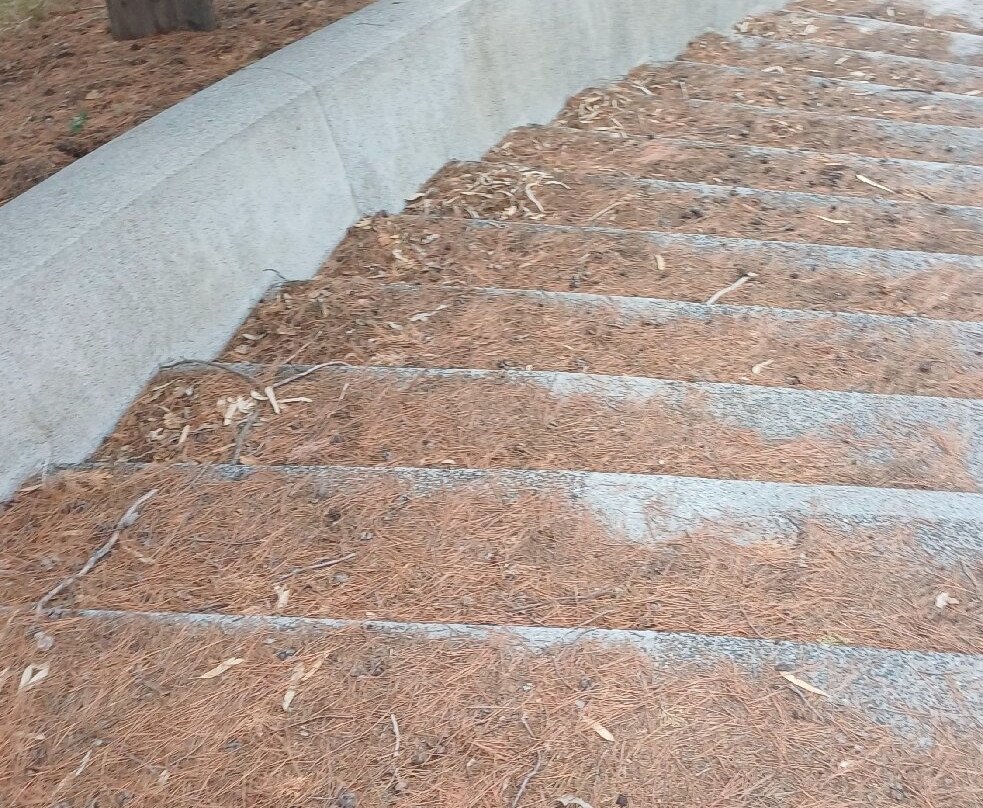 Monumento a Michele Bianchi-Belmonte Calabro必去景点