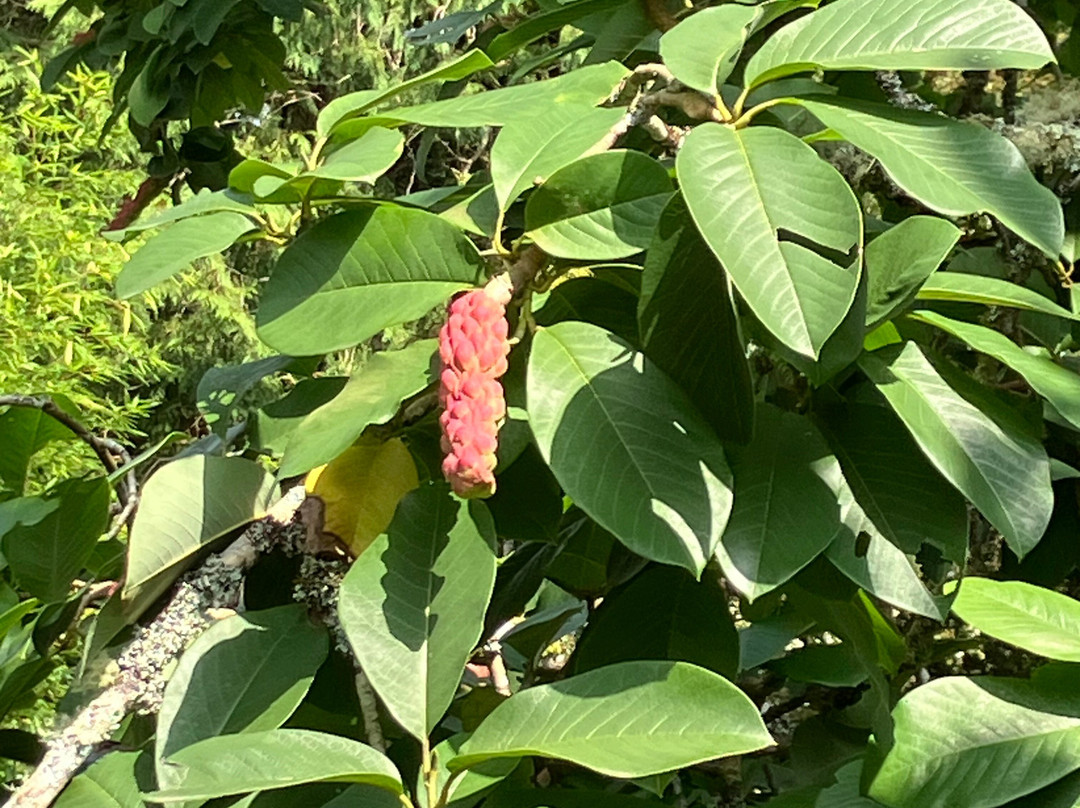 Picton Castle Gardens-哈弗福韦斯特必去景点