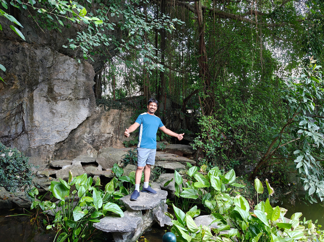 Tam Coc Lion Kings Hotel and Resort