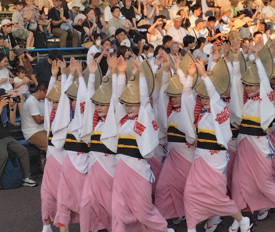 Awa Odori-德岛市必去景点