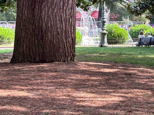 Tour of Verona by train-维罗纳必去景点