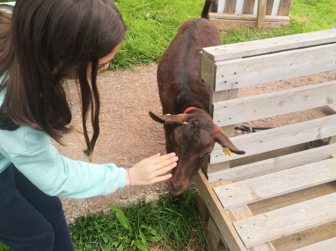 Los Caserinos-比拉维西奥萨必去景点
