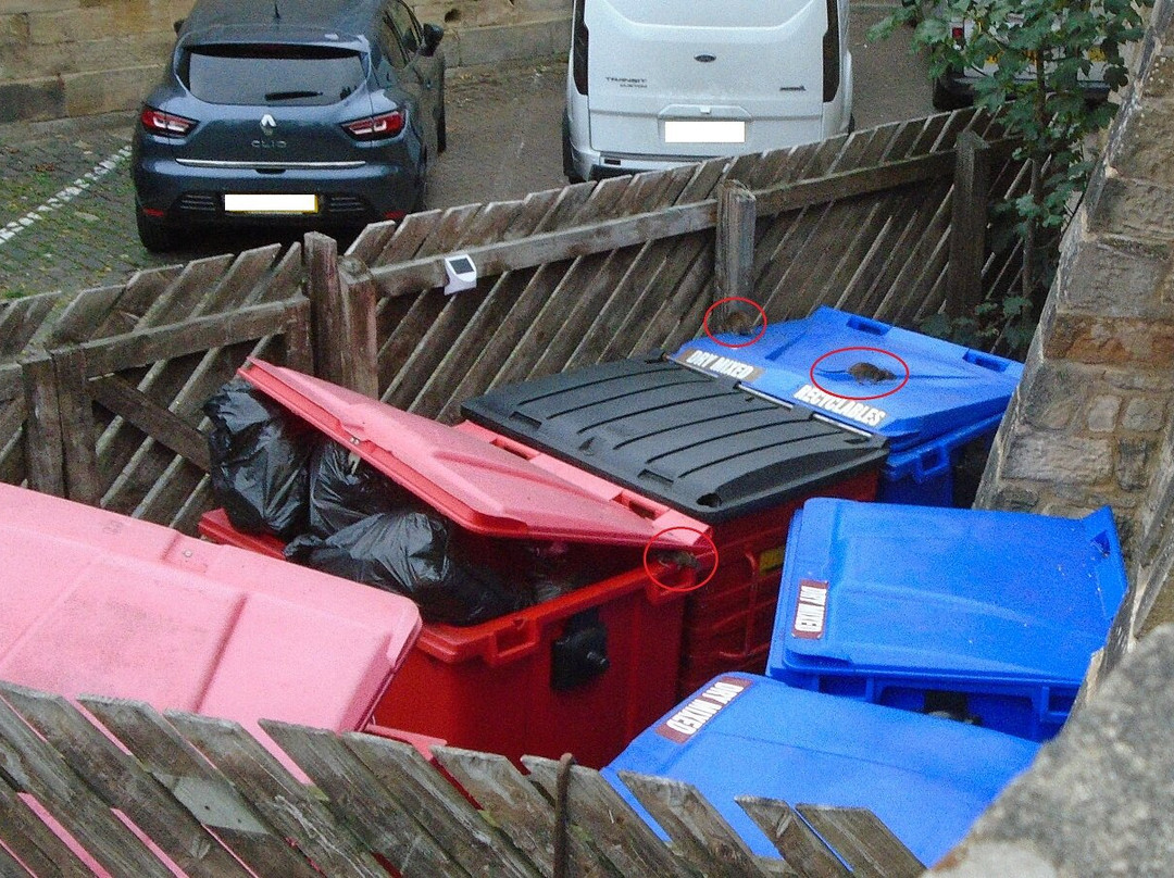 Travelodge Durham主图