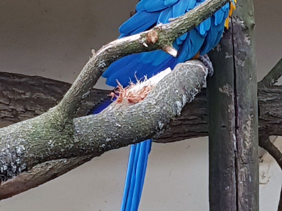 Tierpark Ströhen - Der Entdeckerzoo-Strohen必去景点