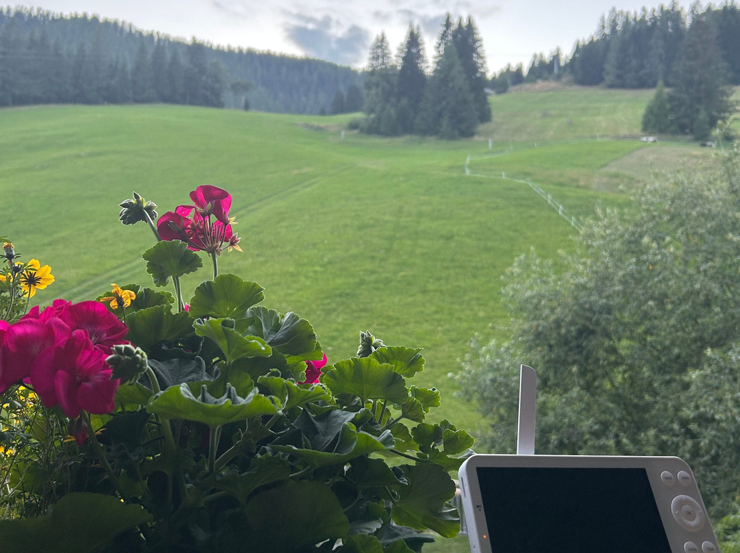 Familienhotel Gasthof Hinteregger主图