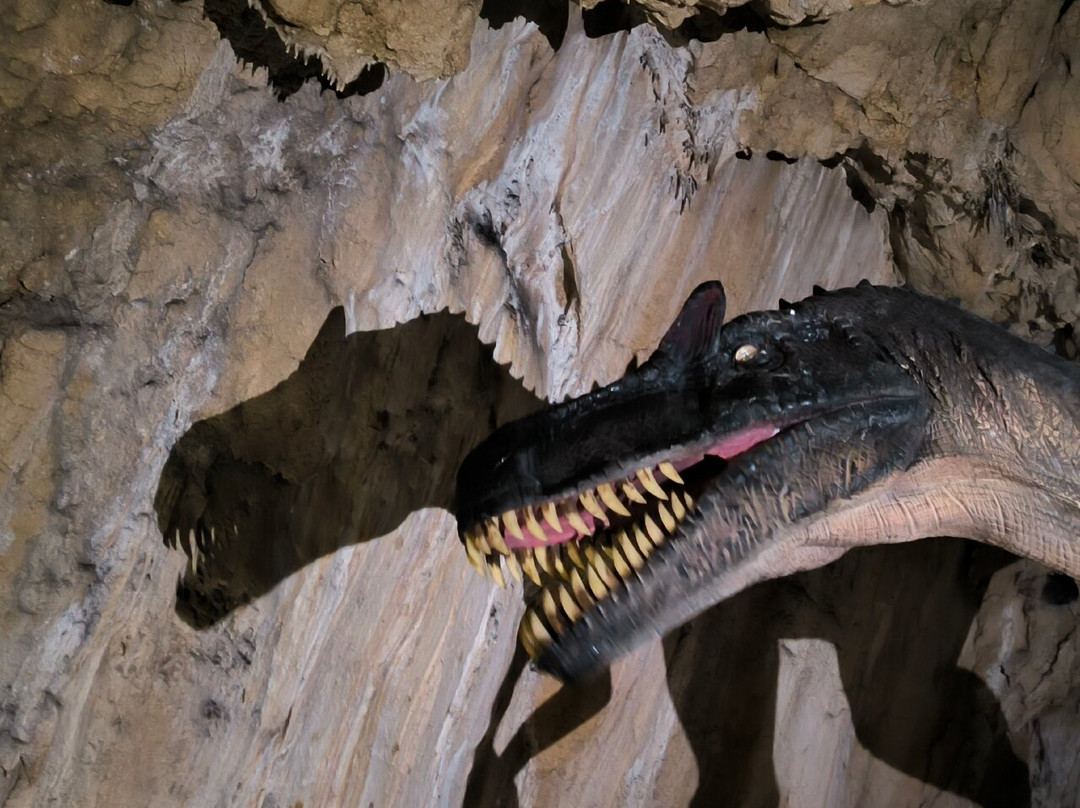 Dinopedia Expérience