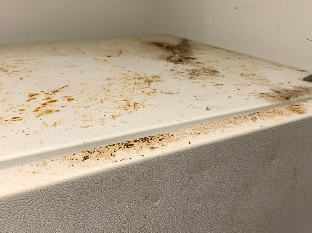 Extended Stay America Select Suites - Tallahassee - Northwest主图