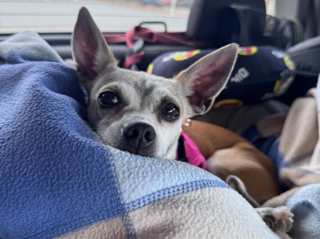 The Rock Stop-Orderville必去景点