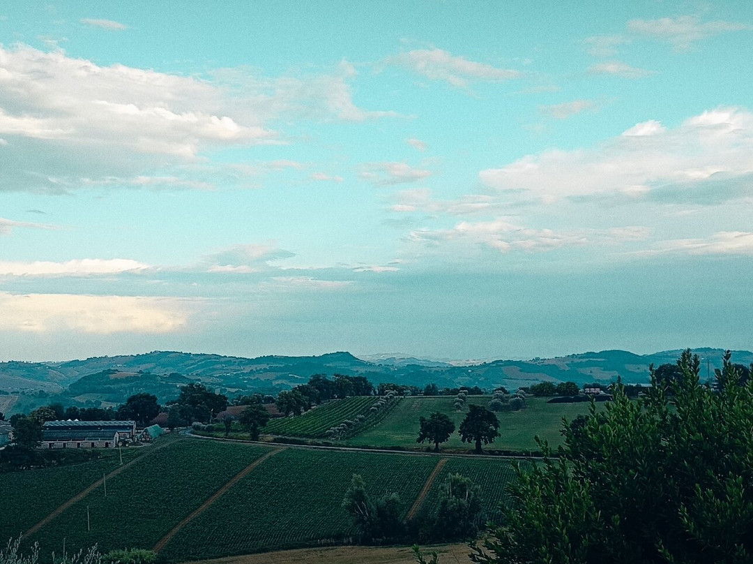 Casale il Cerqueto主图