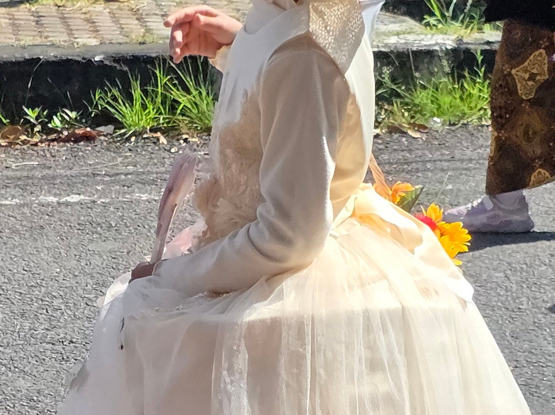 Casa Nemo Beach Resort and SPA主图