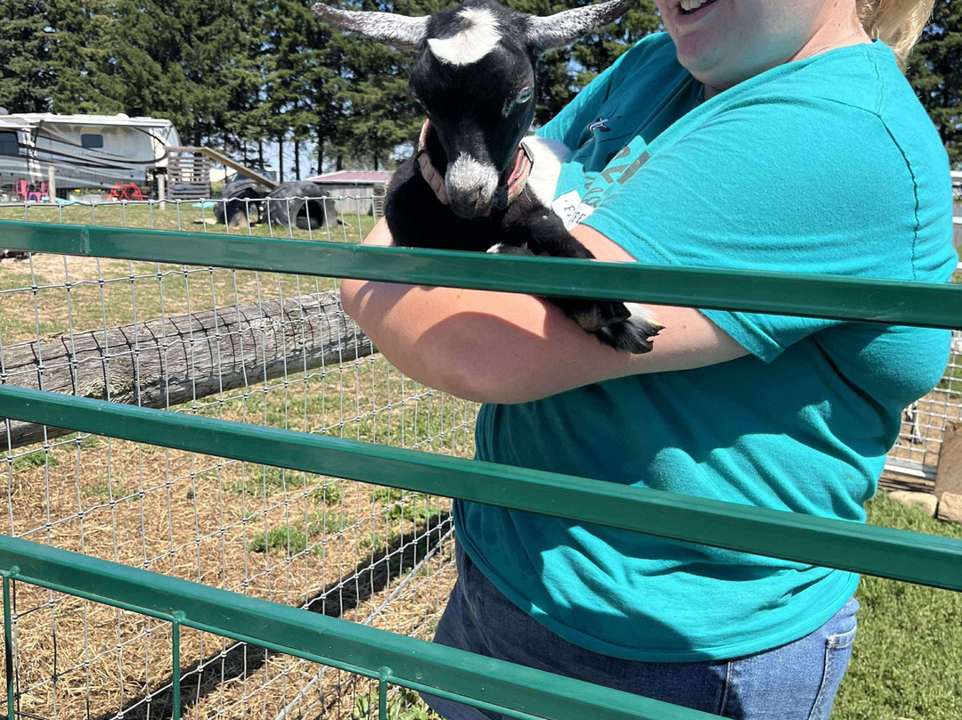 Udderly Ridiculous Farm Life-Blandford-Blenheim必去景点