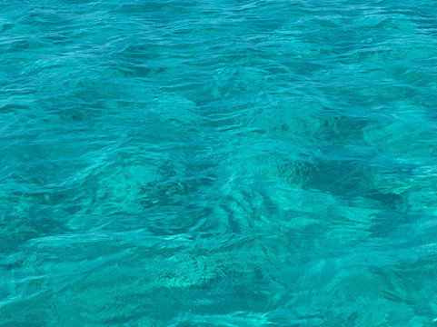 Asinara Garbo Charter-斯廷蒂诺必去景点