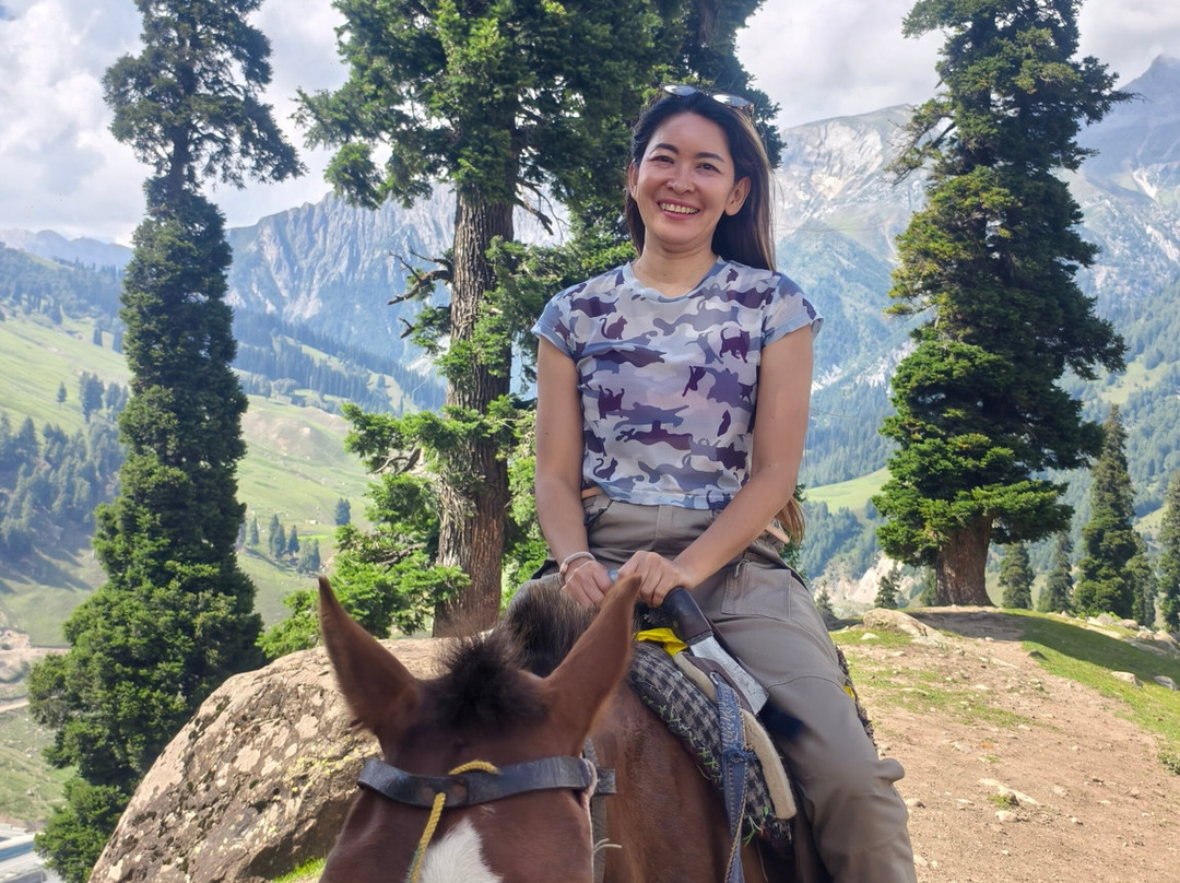 Himalayan walk Adventure-帕哈甘必去景点