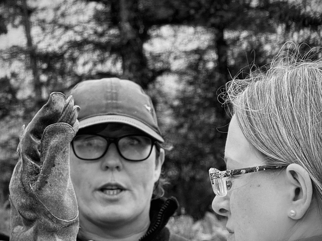 Speyside Falconry-Mulben必去景点