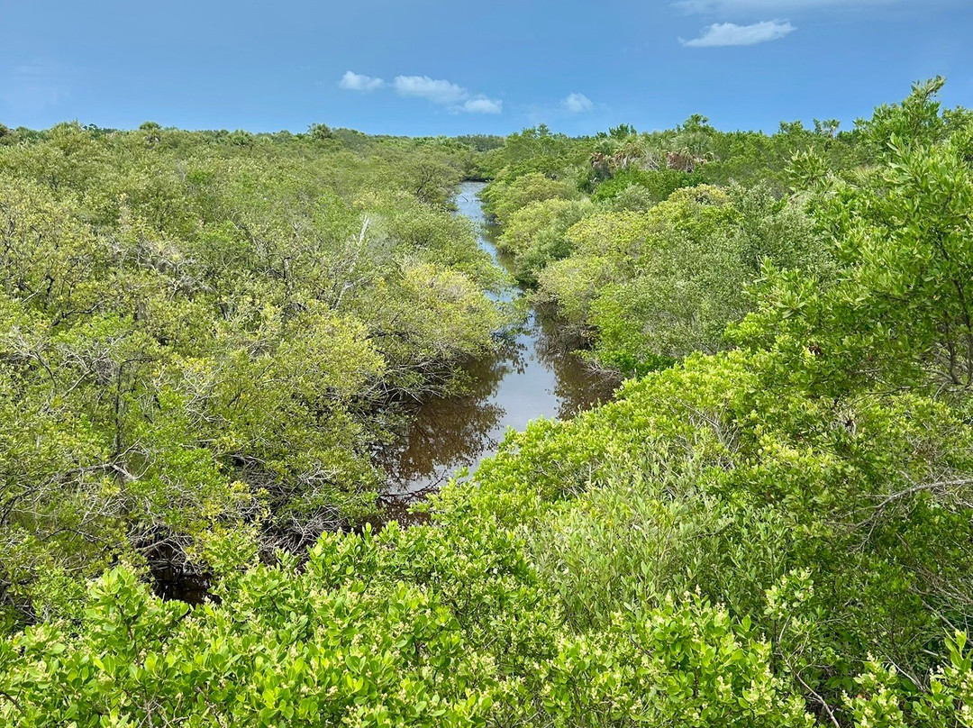 Barrier Island Center-Melbourne Beach必去景点