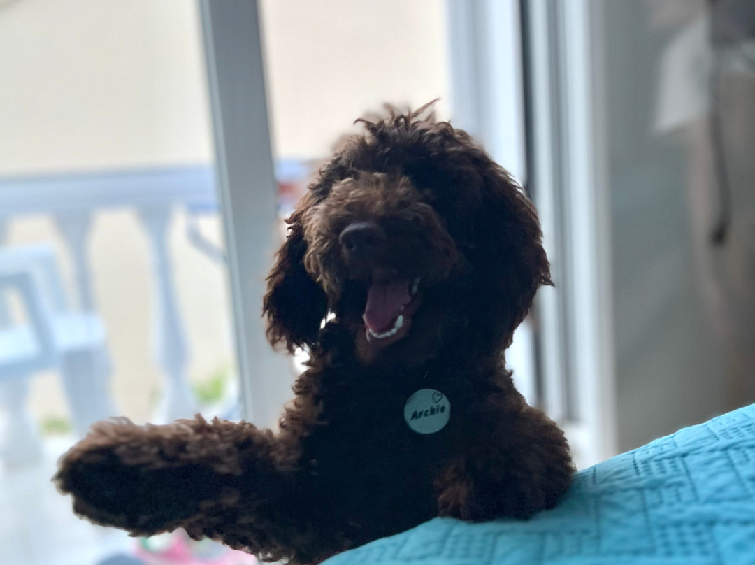 普托勒密斯酒店主图