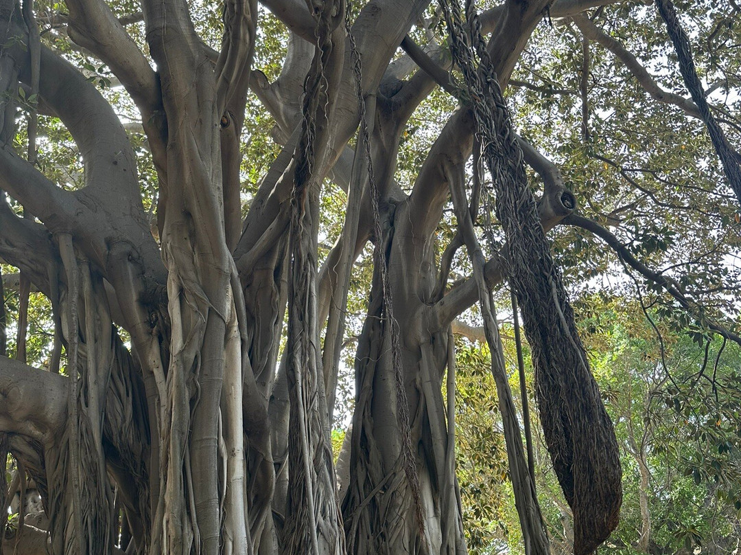 Giardino Garibaldi-巴勒莫必去景点