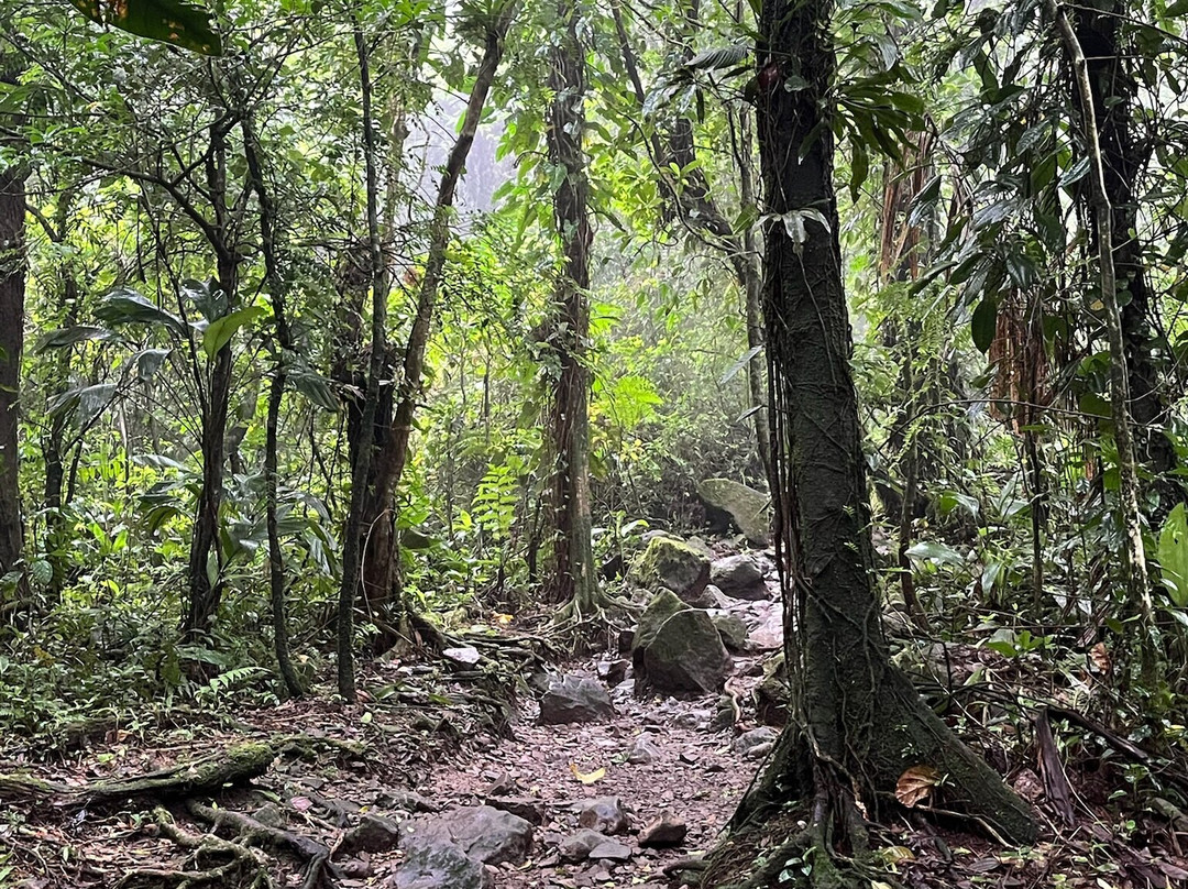 Parque National Volcan Tenorio-Bijagua de Upala必去景点