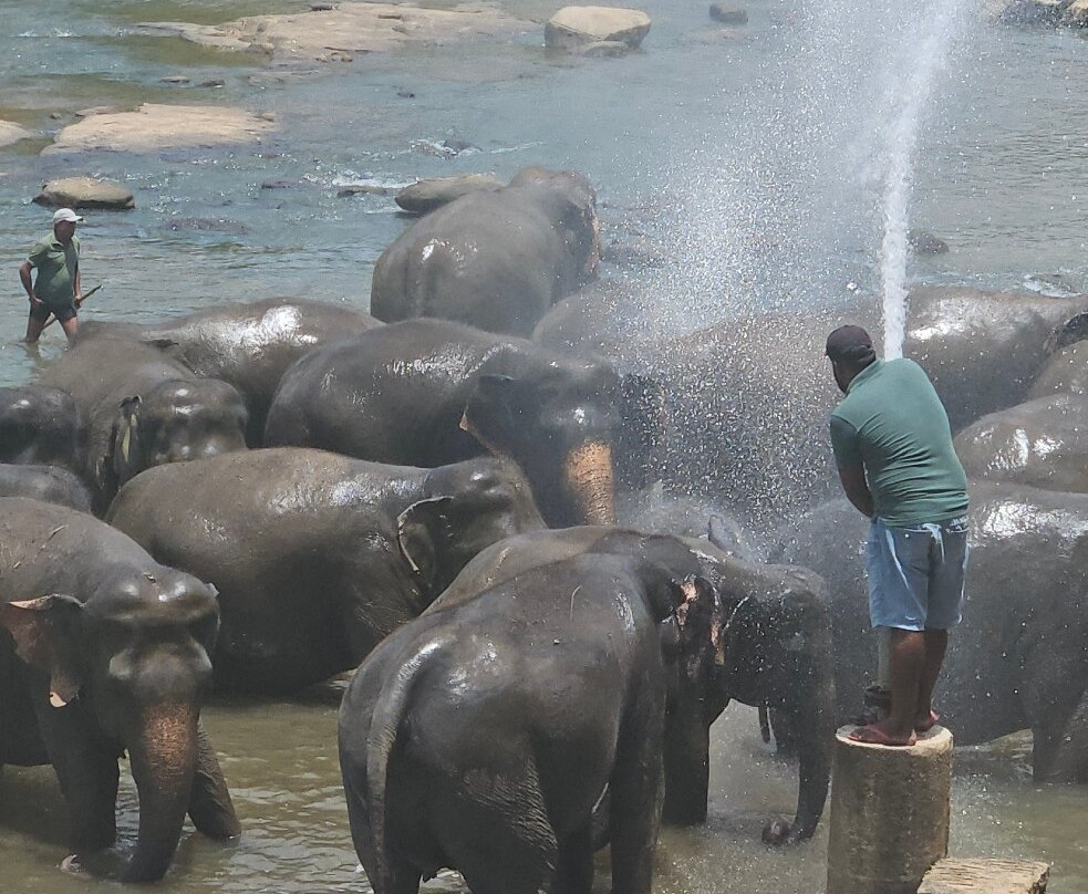 Sri Lanka Wide Tours-科伦坡必去景点