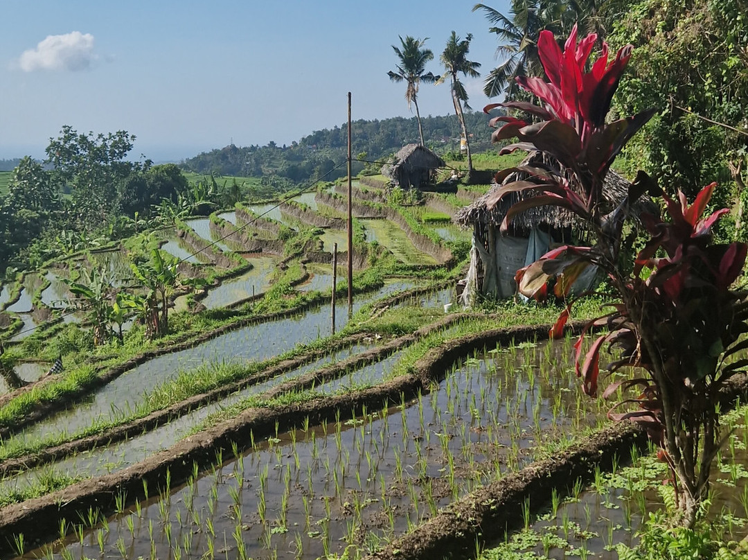 Trekking Candidasa-甘地达萨必去景点