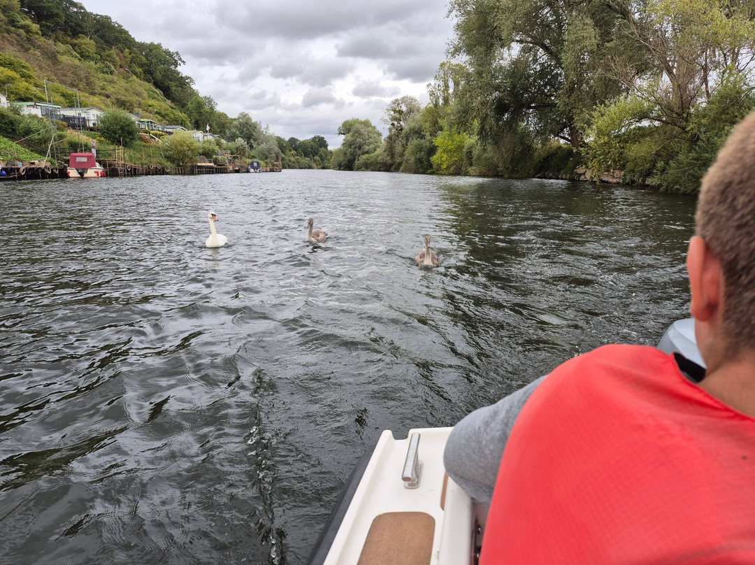 Severn Expeditions Day Boat Hire-Upton upon Severn必去景点