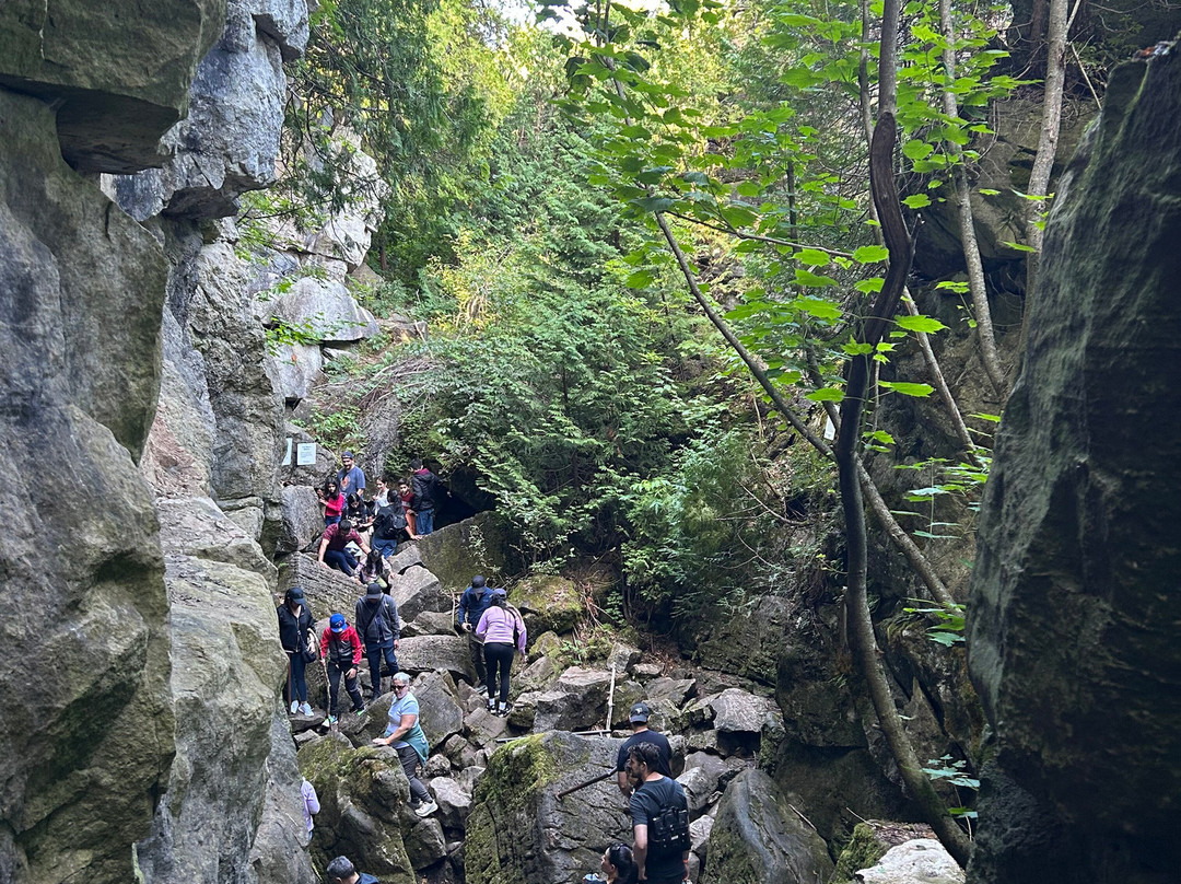 Scenic Caves Nature Adventures-蓝山必去景点