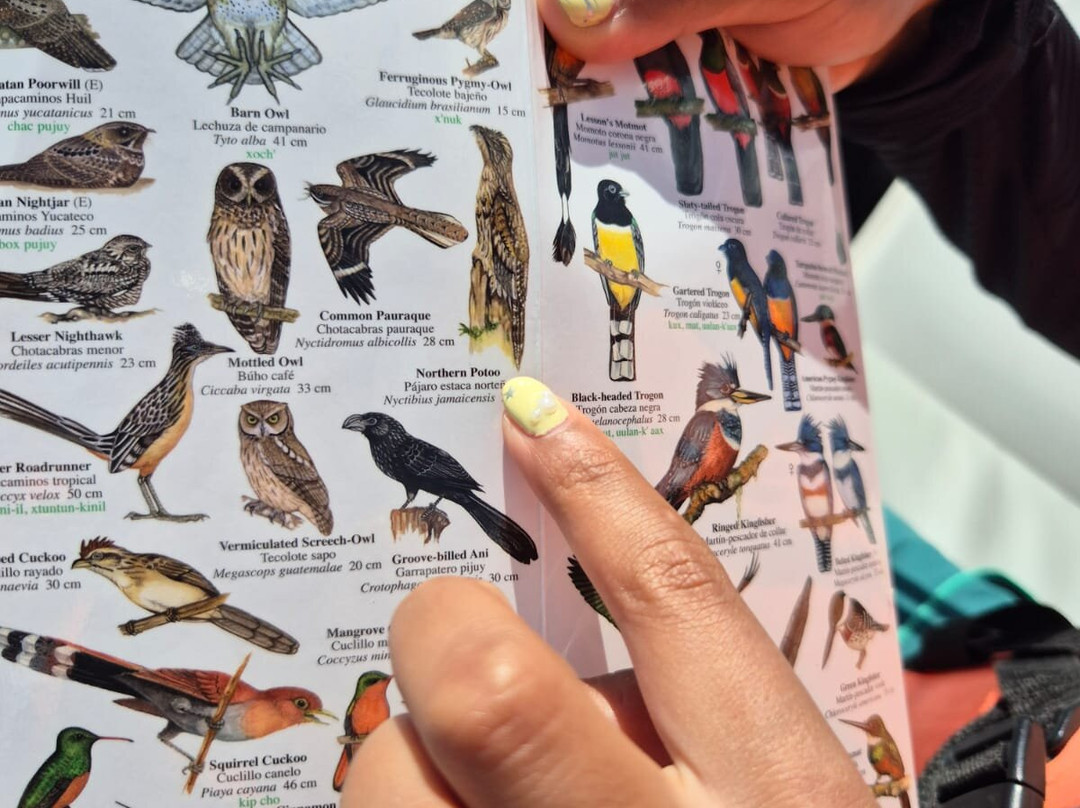 Bacalitos Tour en Velero-Bacalar必去景点