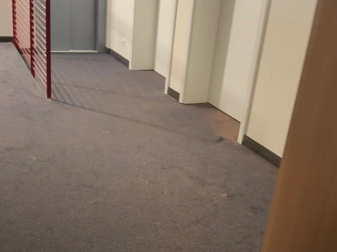 Tholes Am Allerpark Verden主图