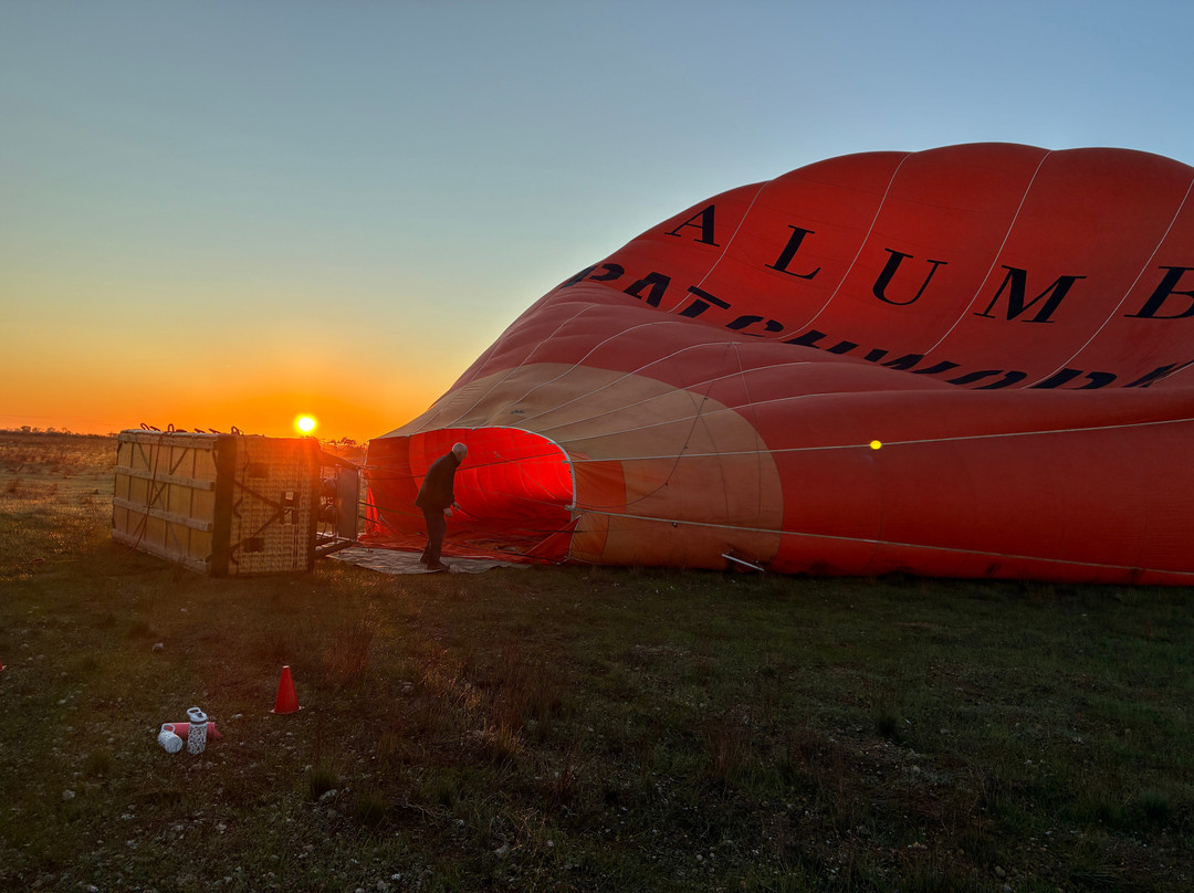 Barossa Valley Ballooning-Seppeltsfield必去景点