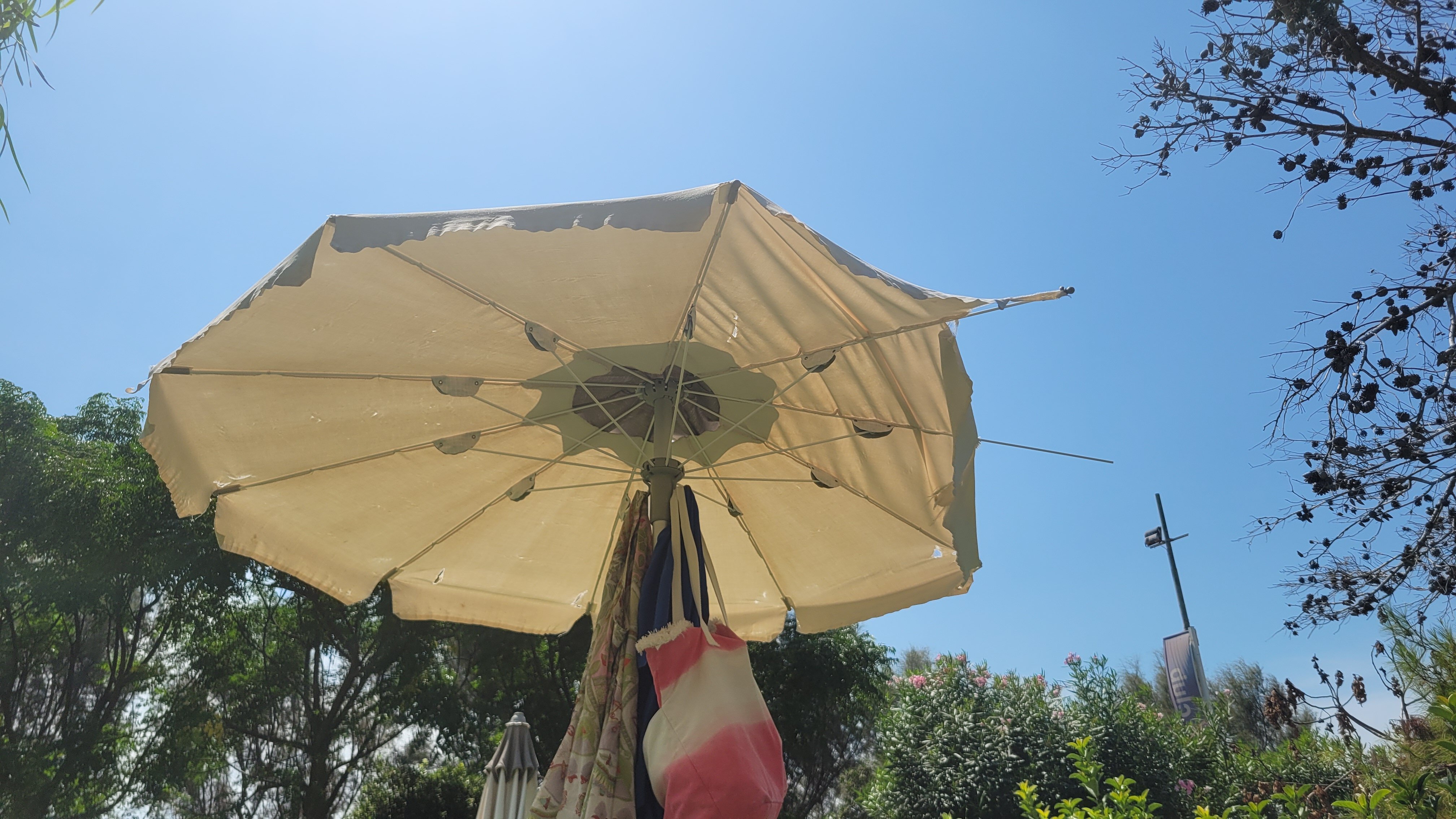 Nicolaus Club La Giurlita-官方